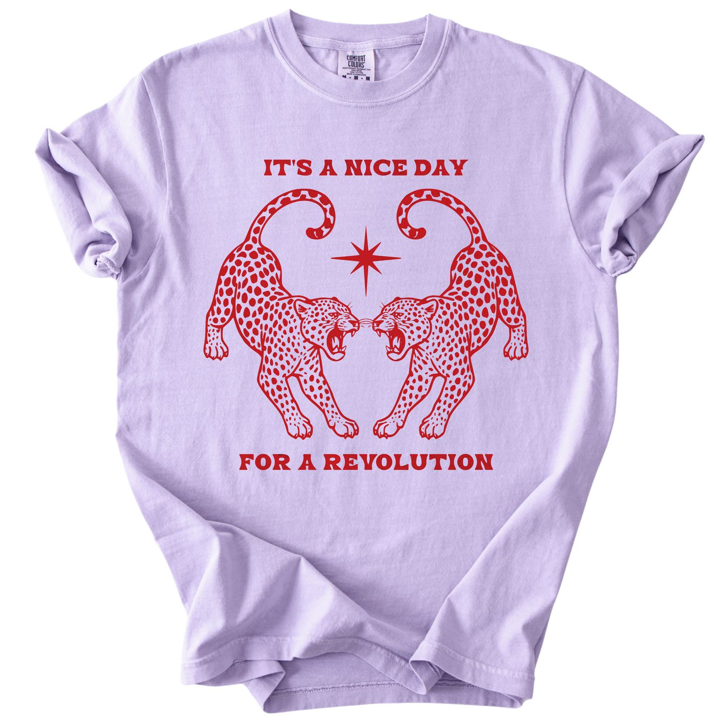 Nice Day For A Revolution Vintage Dyed Tee