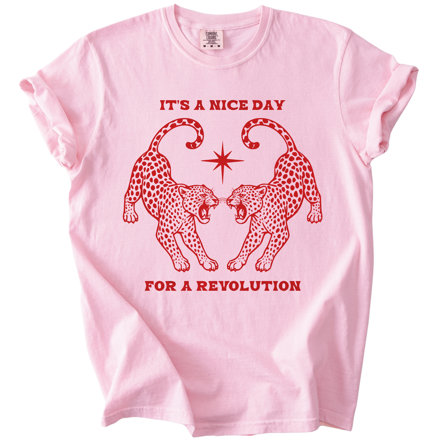Nice Day For A Revolution Vintage Dyed Tee