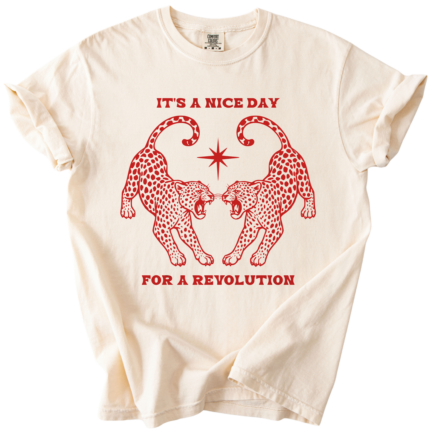 Nice Day For A Revolution Vintage Dyed Tee