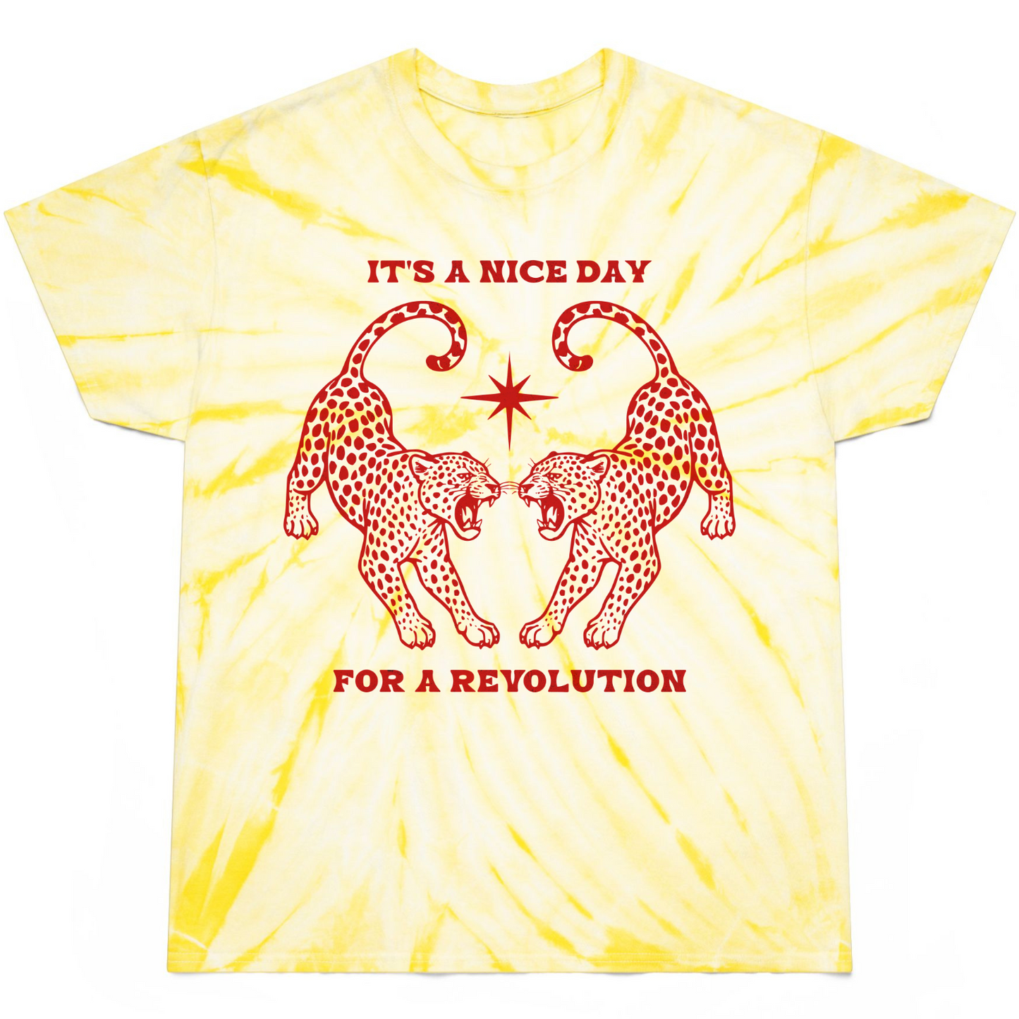 Nice Day For A Revolution Tie-Dye Tee
