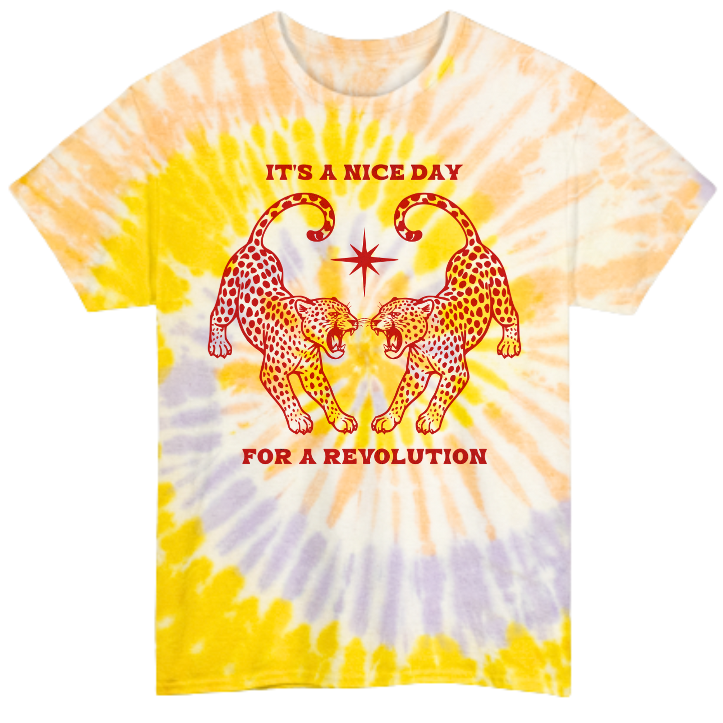 Nice Day For A Revolution Tie-Dye Tee