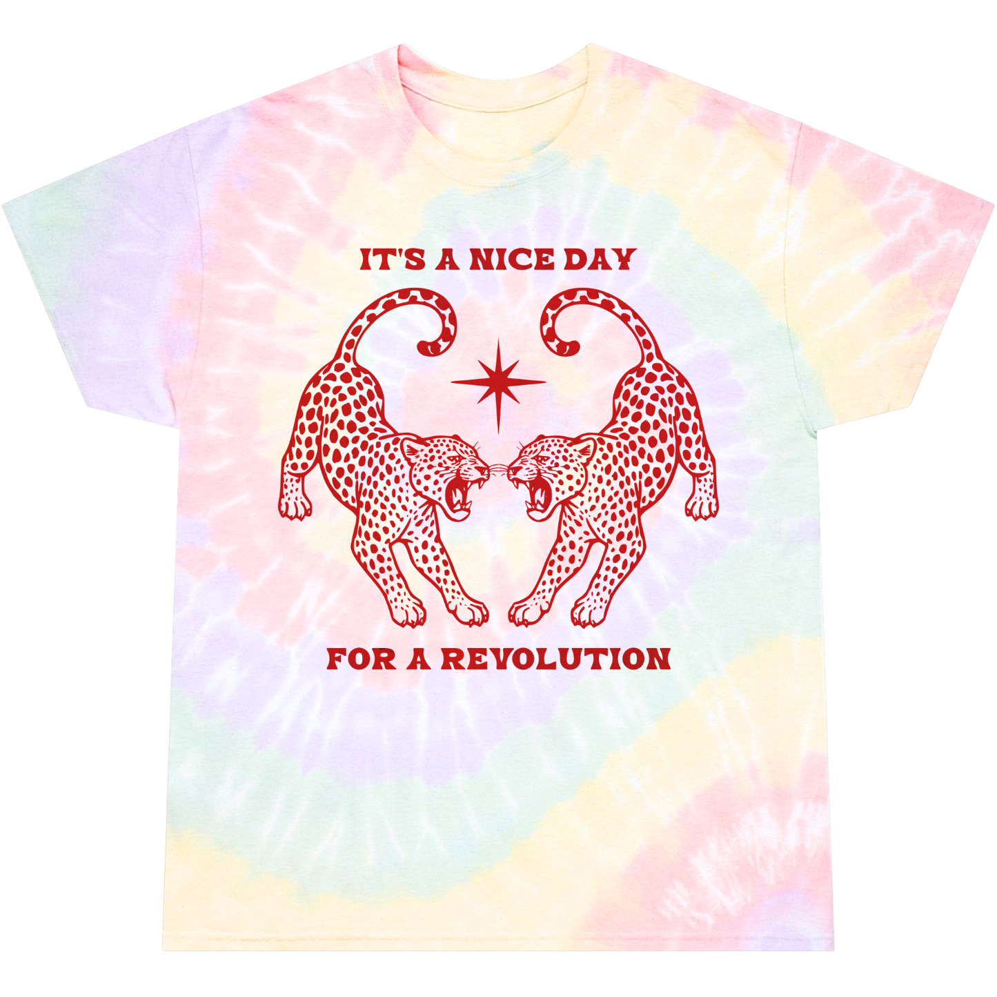 Nice Day For A Revolution Tie-Dye Tee