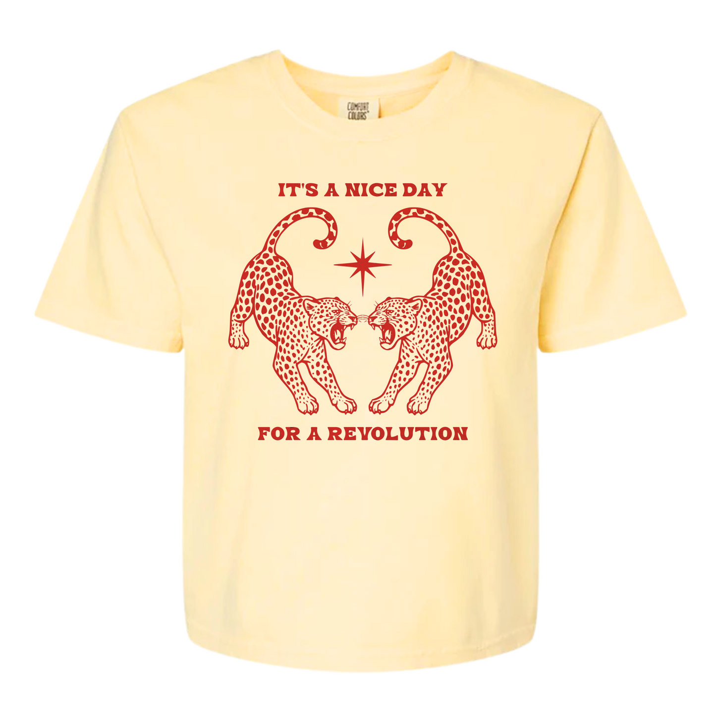 Nice Day For A Revolution Women's BOXY Tee