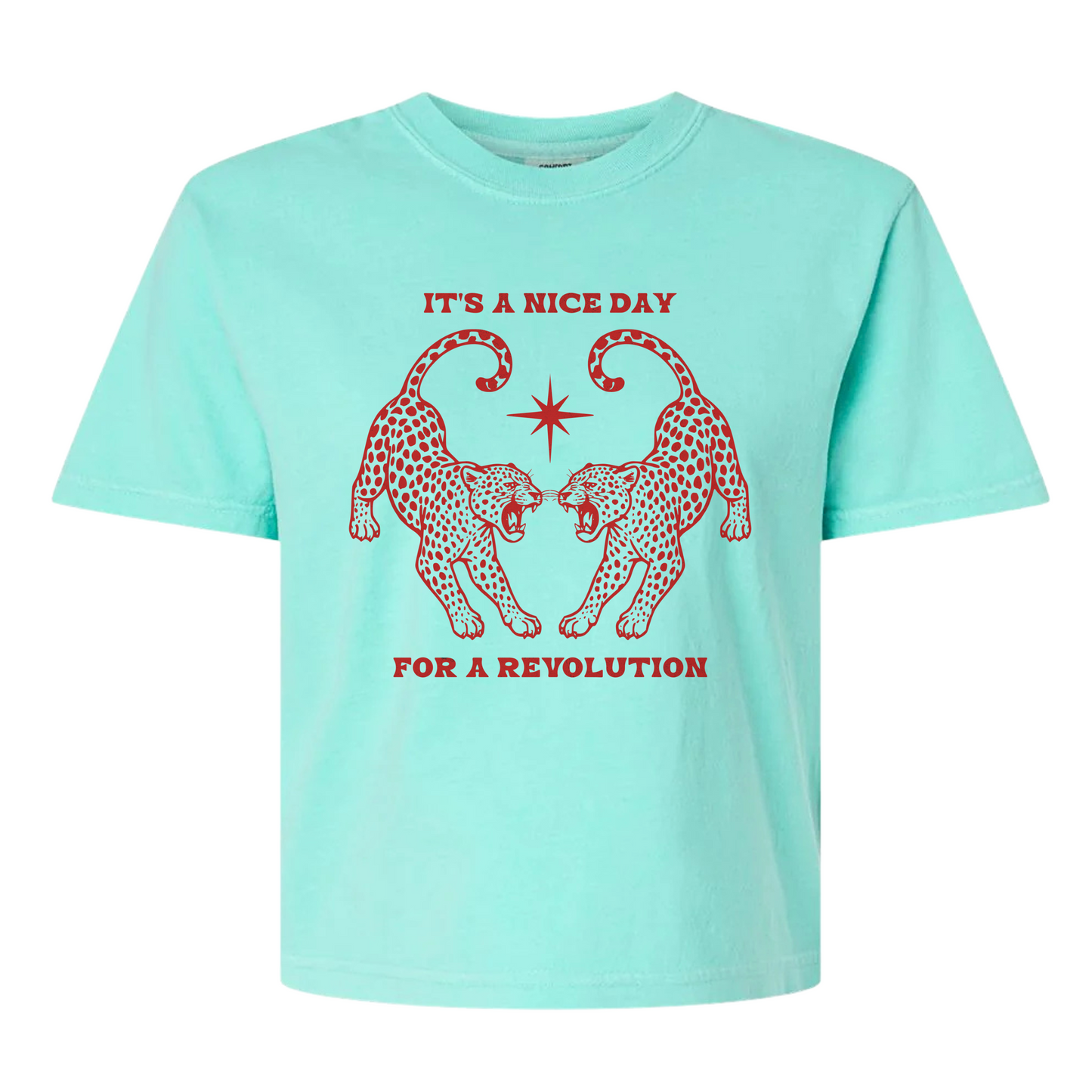 Nice Day For A Revolution Women's BOXY Tee