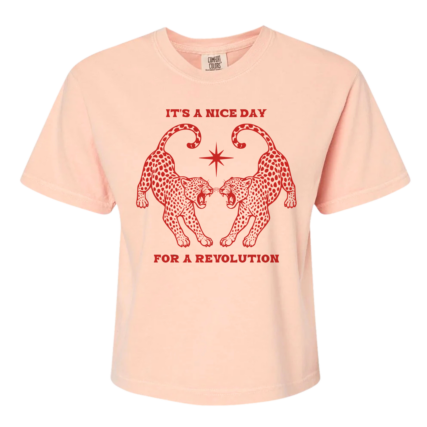 Nice Day For A Revolution Women's BOXY Tee