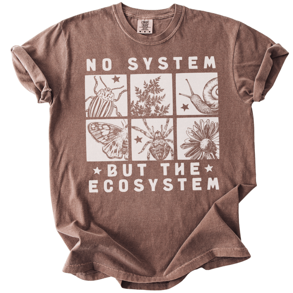 No System But The Ecosystem Boxes Tee