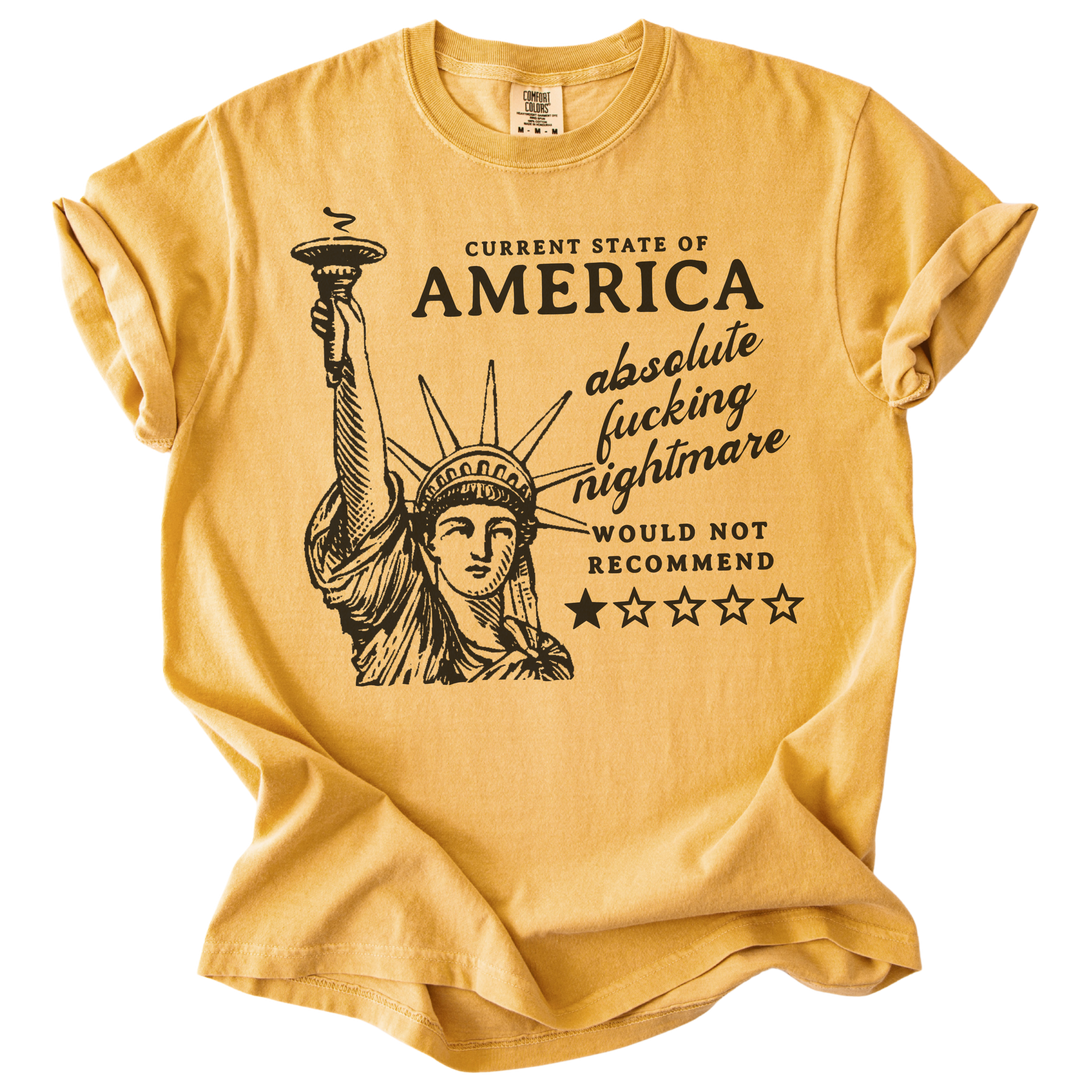 America: Would Not Recommend Tee
