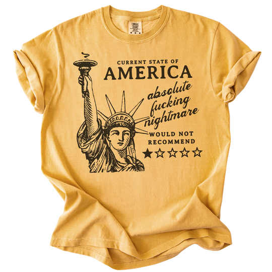 America: Would Not Recommend Tee