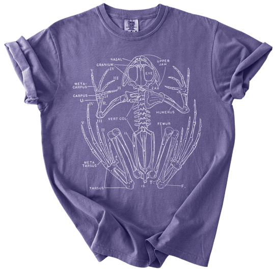Anatomical Frog Skeleton Tee