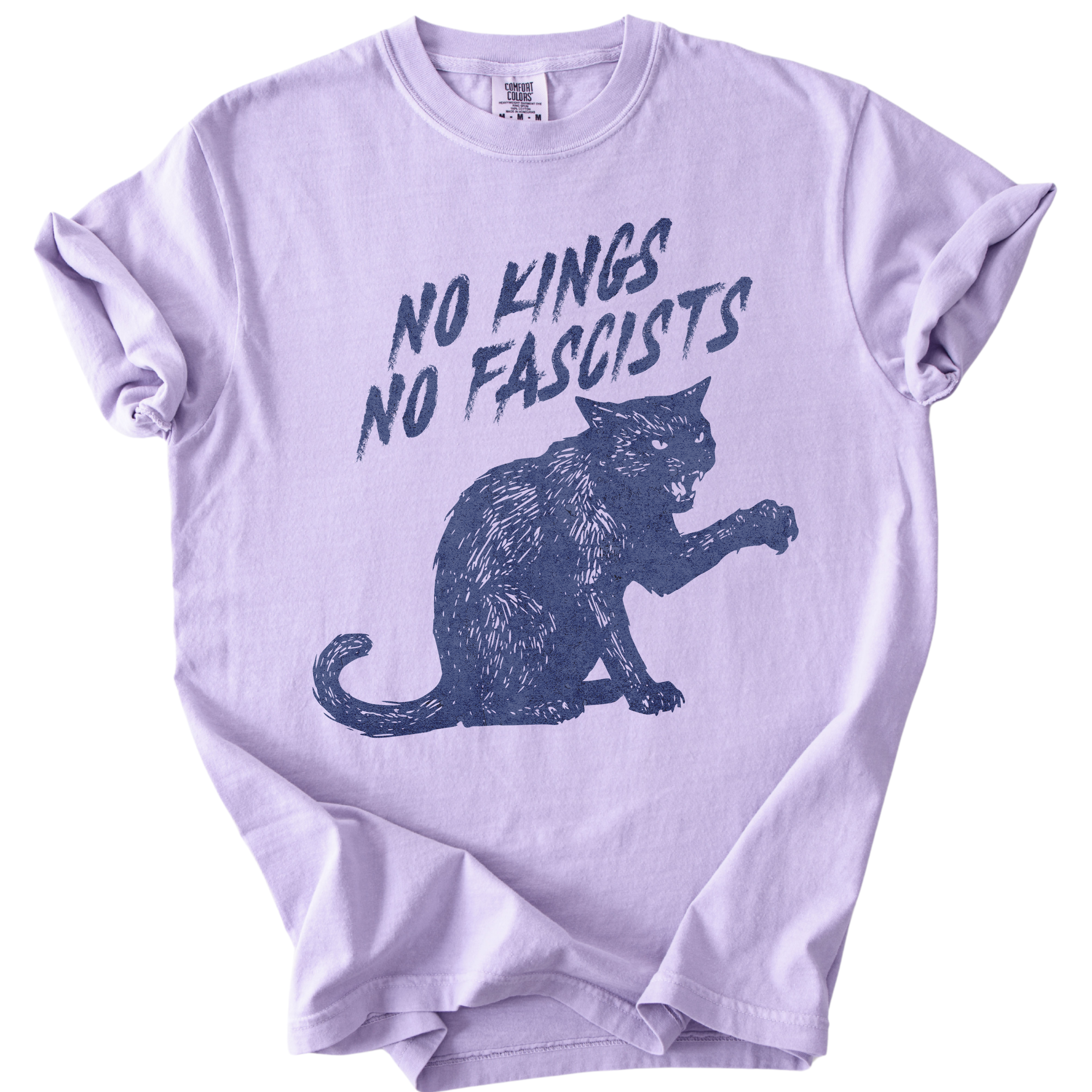 No Kings No Fascists Black Cat Tee