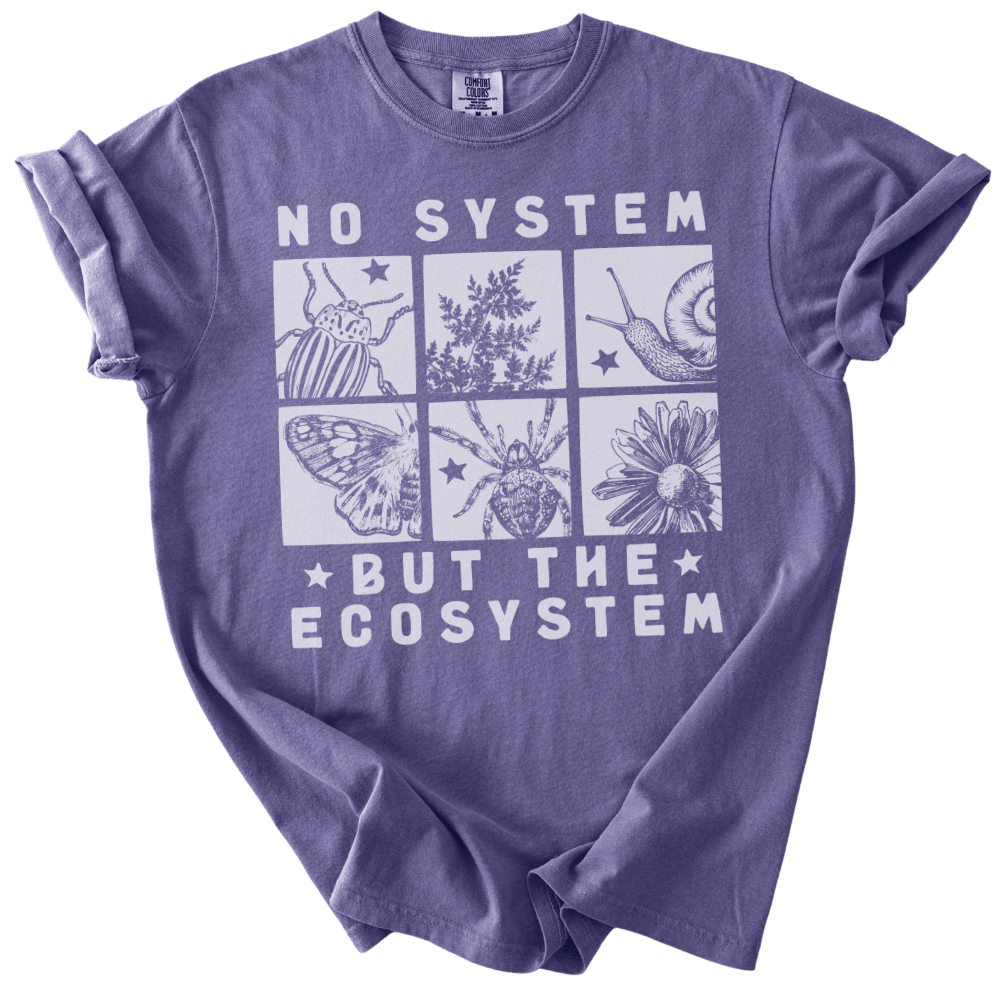 No System But The Ecosystem Boxes Tee