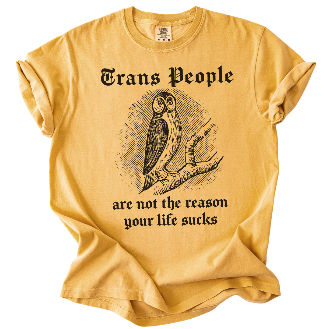 Trans People Are Not The Reason Owl Tee