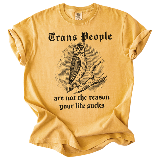 Trans People Are Not The Reason Owl Tee
