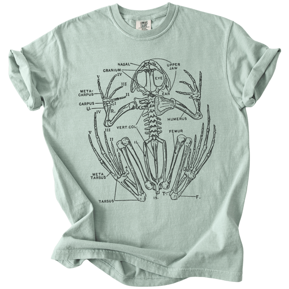 Anatomical Frog Skeleton Tee