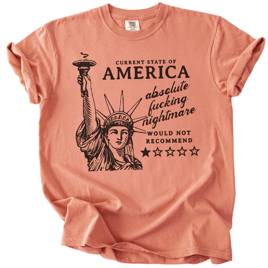 America: Would Not Recommend Tee