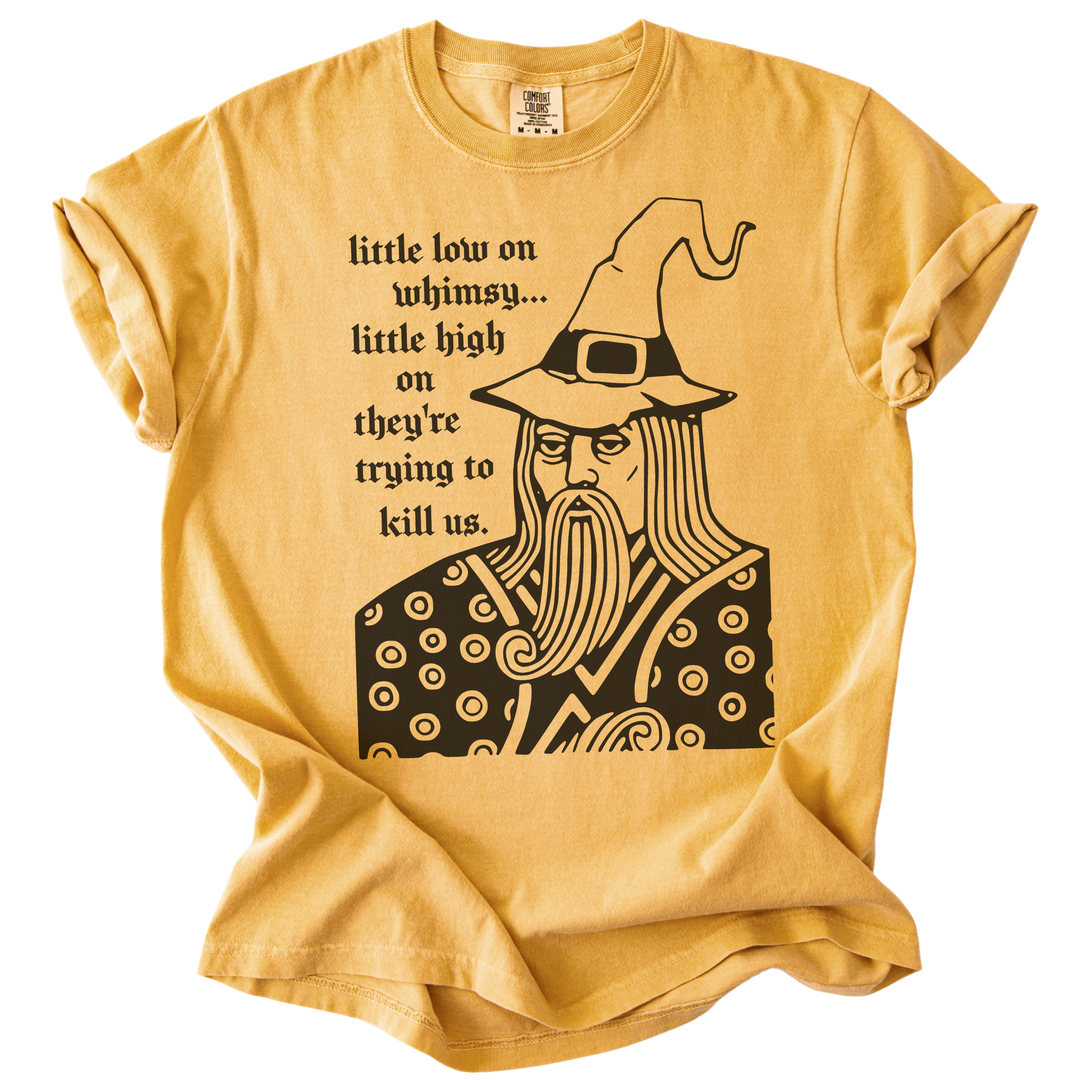 Little Low on Whimsy Wizard Tee