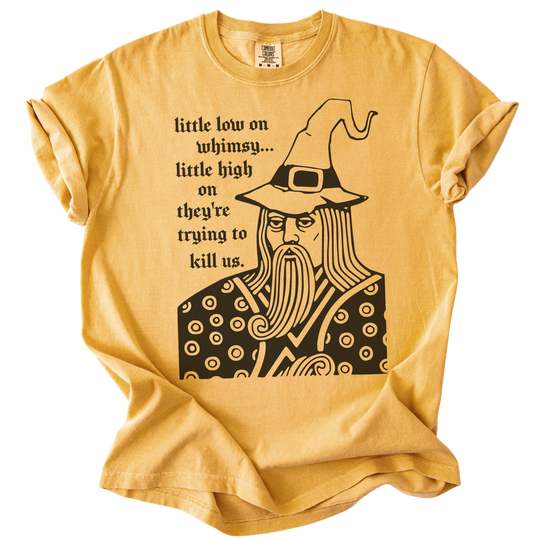 Little Low on Whimsy Wizard Tee
