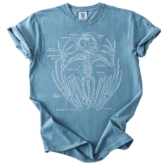 Anatomical Frog Skeleton Tee