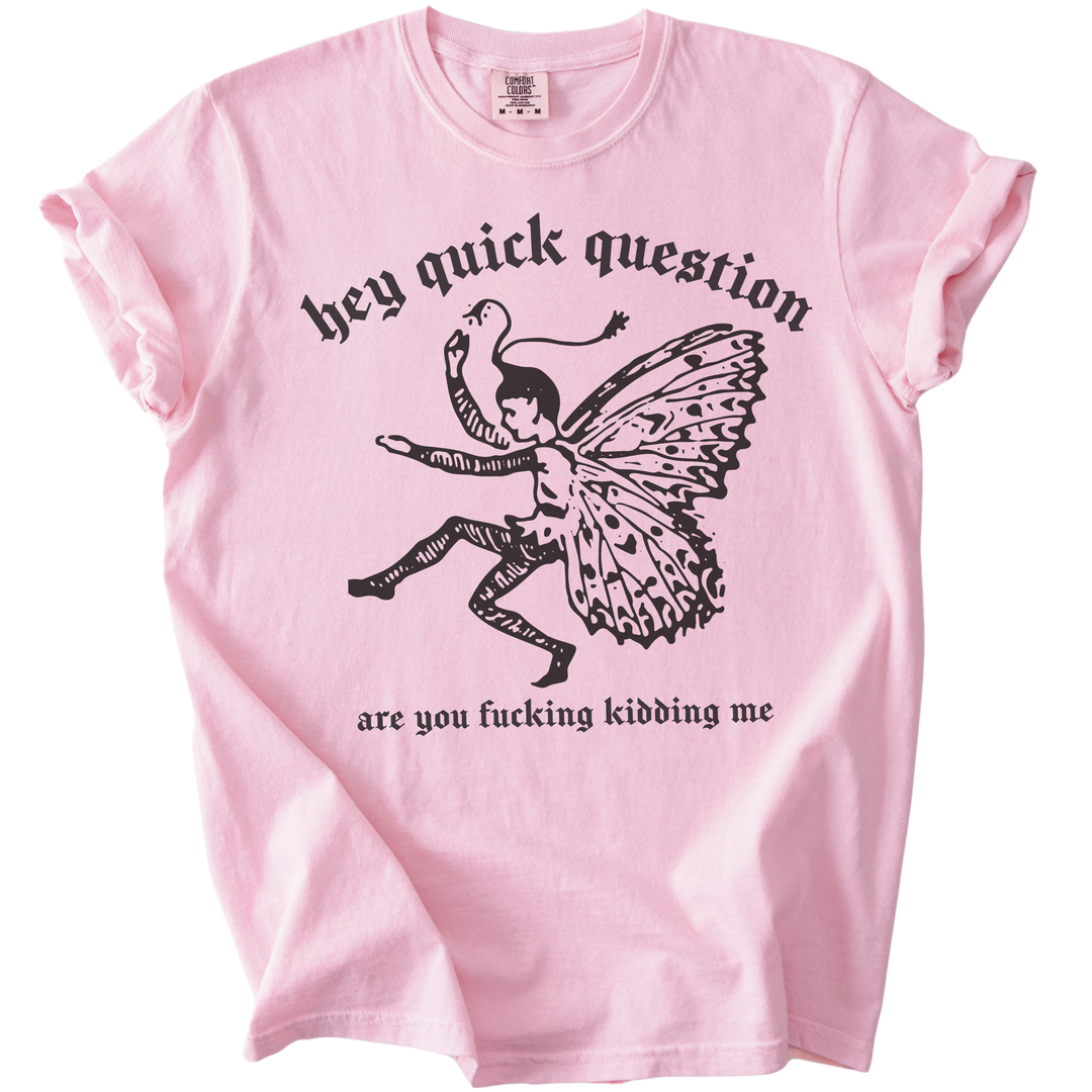 Hey Quick Question Are You Fucking Kidding Me? Tee
