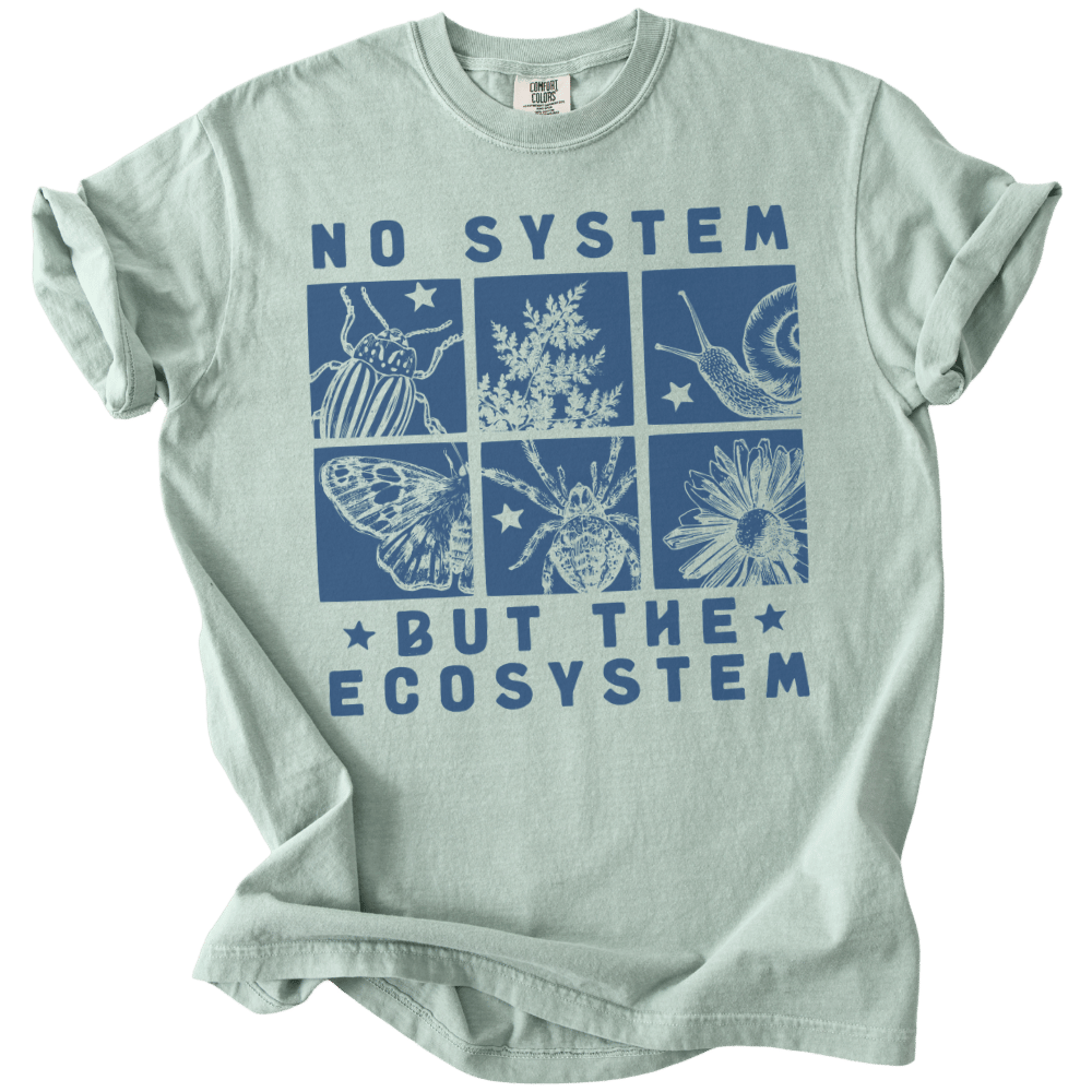 No System But The Ecosystem Boxes Tee