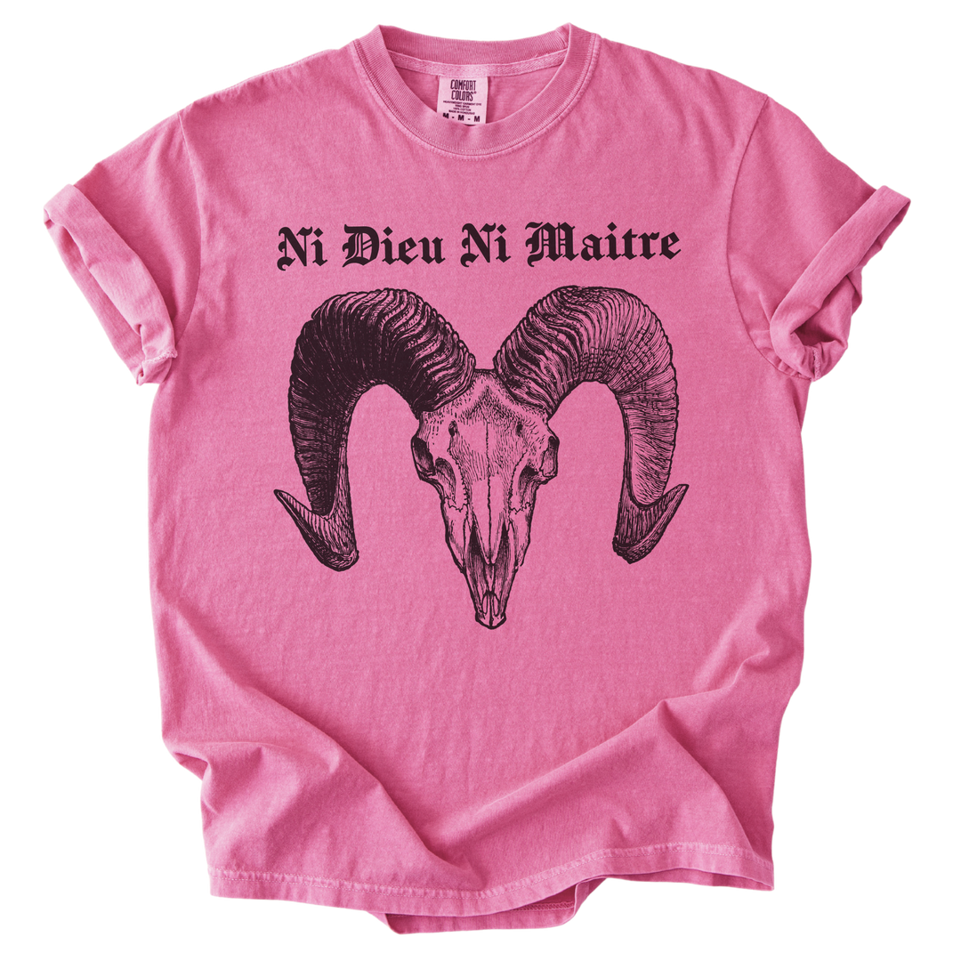 Ni Dieu Ni Maitre Ram Skull Tee