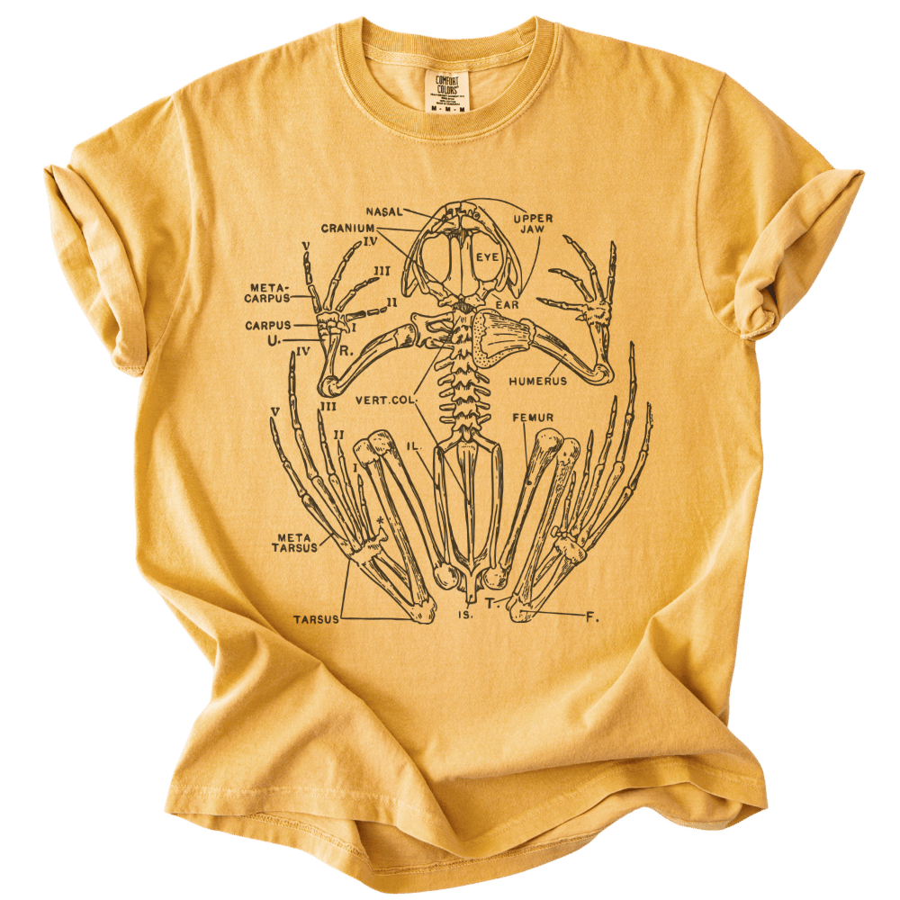 Anatomical Frog Skeleton Tee