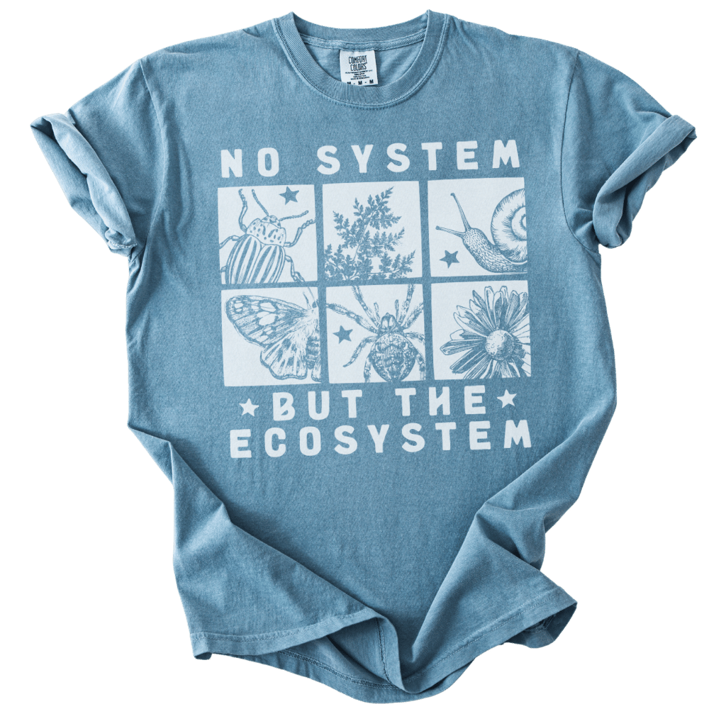 No System But The Ecosystem Boxes Tee