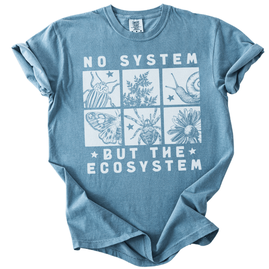No System But The Ecosystem Boxes Tee