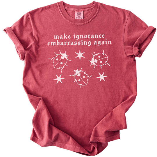 Ladybug Make Ignorance Embarrassing Again Tee