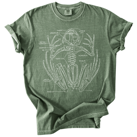Anatomical Frog Skeleton Tee