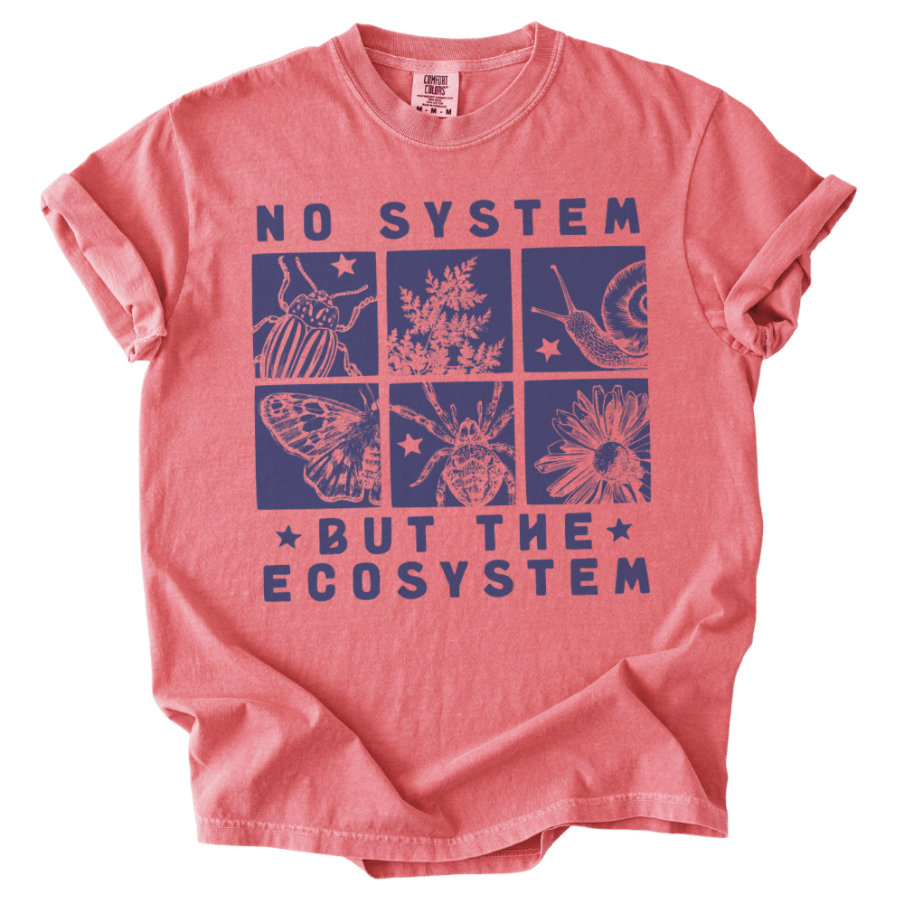 No System But The Ecosystem Boxes Tee