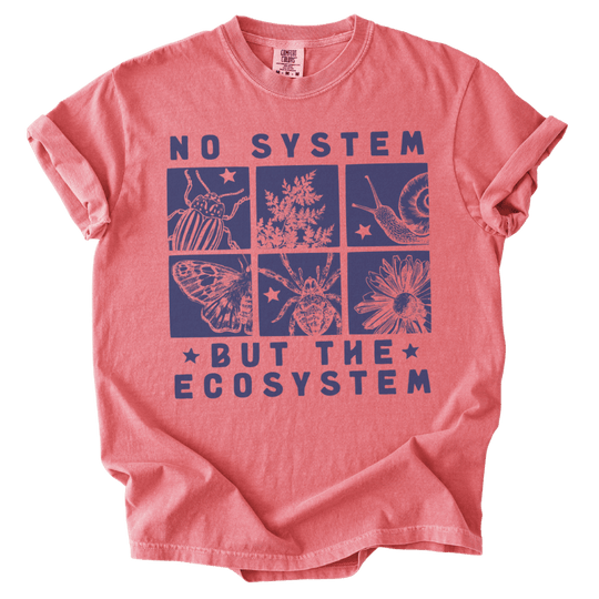 No System But The Ecosystem Boxes Tee