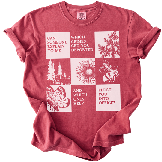 Which Crimes Get You Deported Vs Elected Tee
