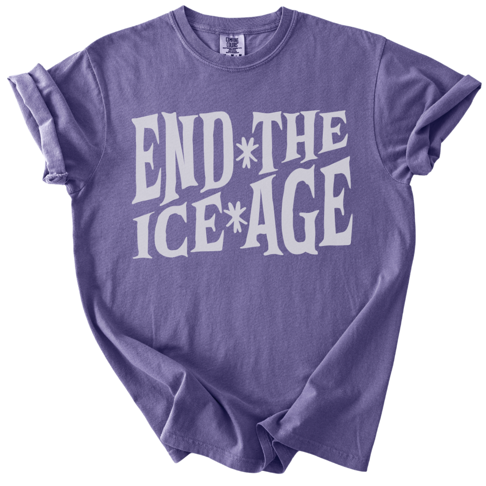 End The Ice Age Tee