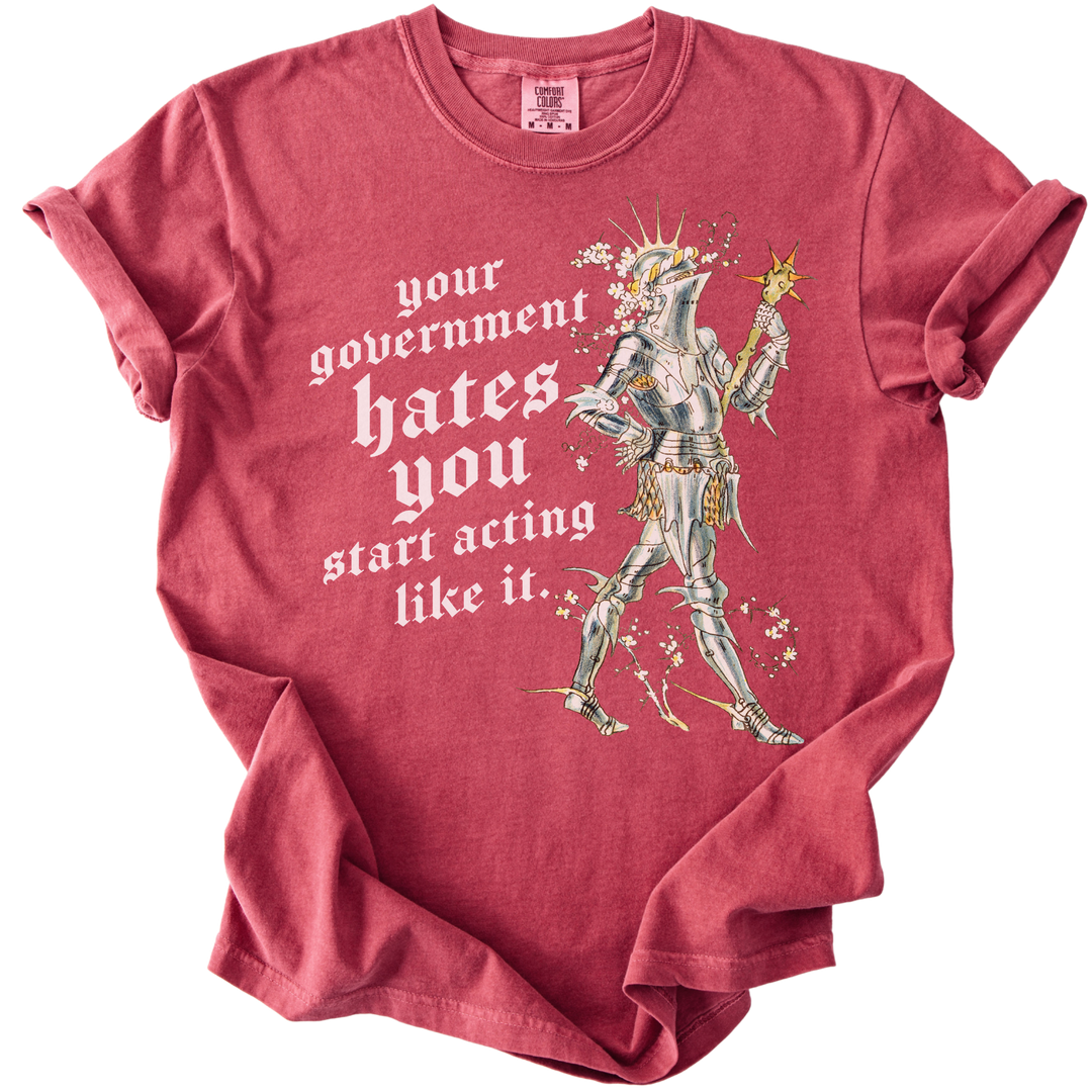 Your Government Hates You Knight Tee