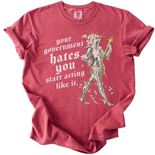 Your Government Hates You Knight Tee