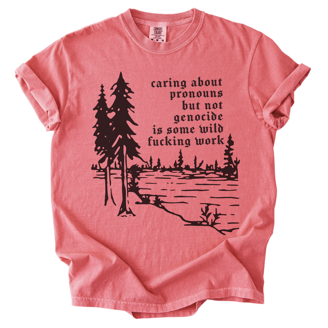 Caring About Pronouns But Not Genocide Tee