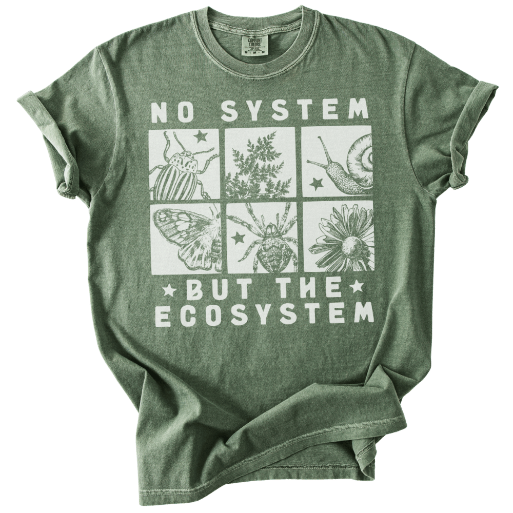 No System But The Ecosystem Boxes Tee