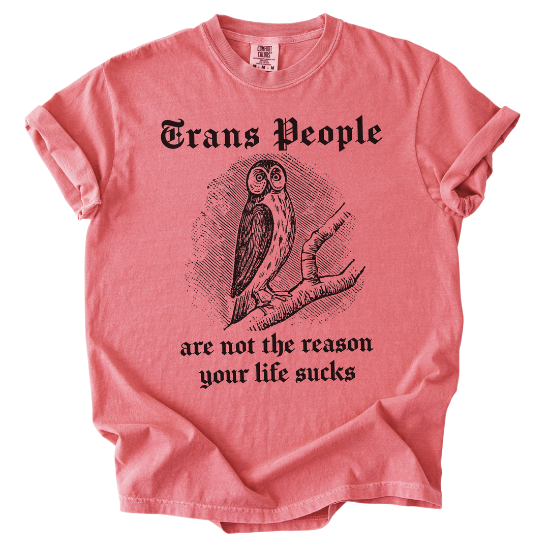 Trans People Are Not The Reason Owl Tee