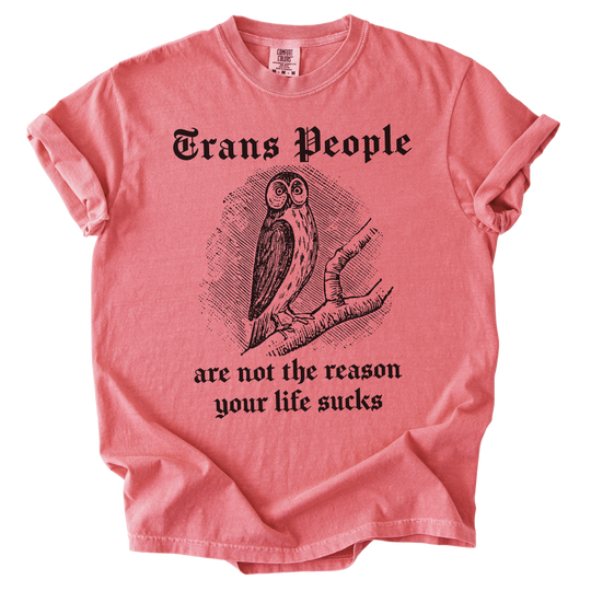 Trans People Are Not The Reason Owl Tee