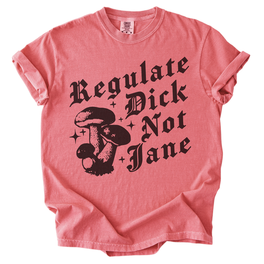 Regulate Dick Not Jane Tee