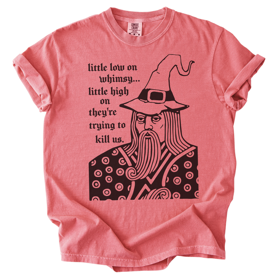 Little Low on Whimsy Wizard Tee