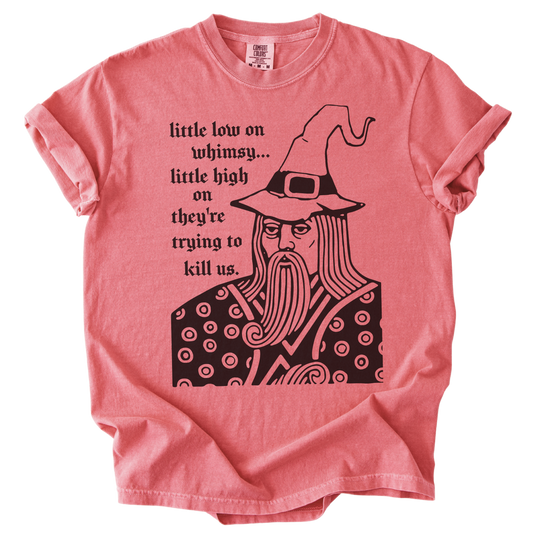 Little Low on Whimsy Wizard Tee