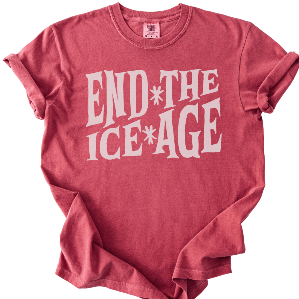 End The Ice Age Tee