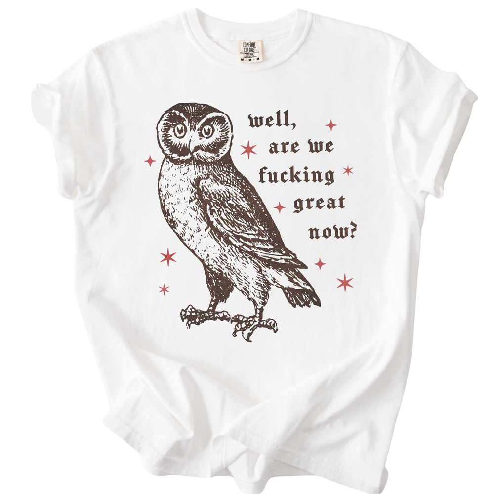 Well, Are We Fucking Great Now? Tee