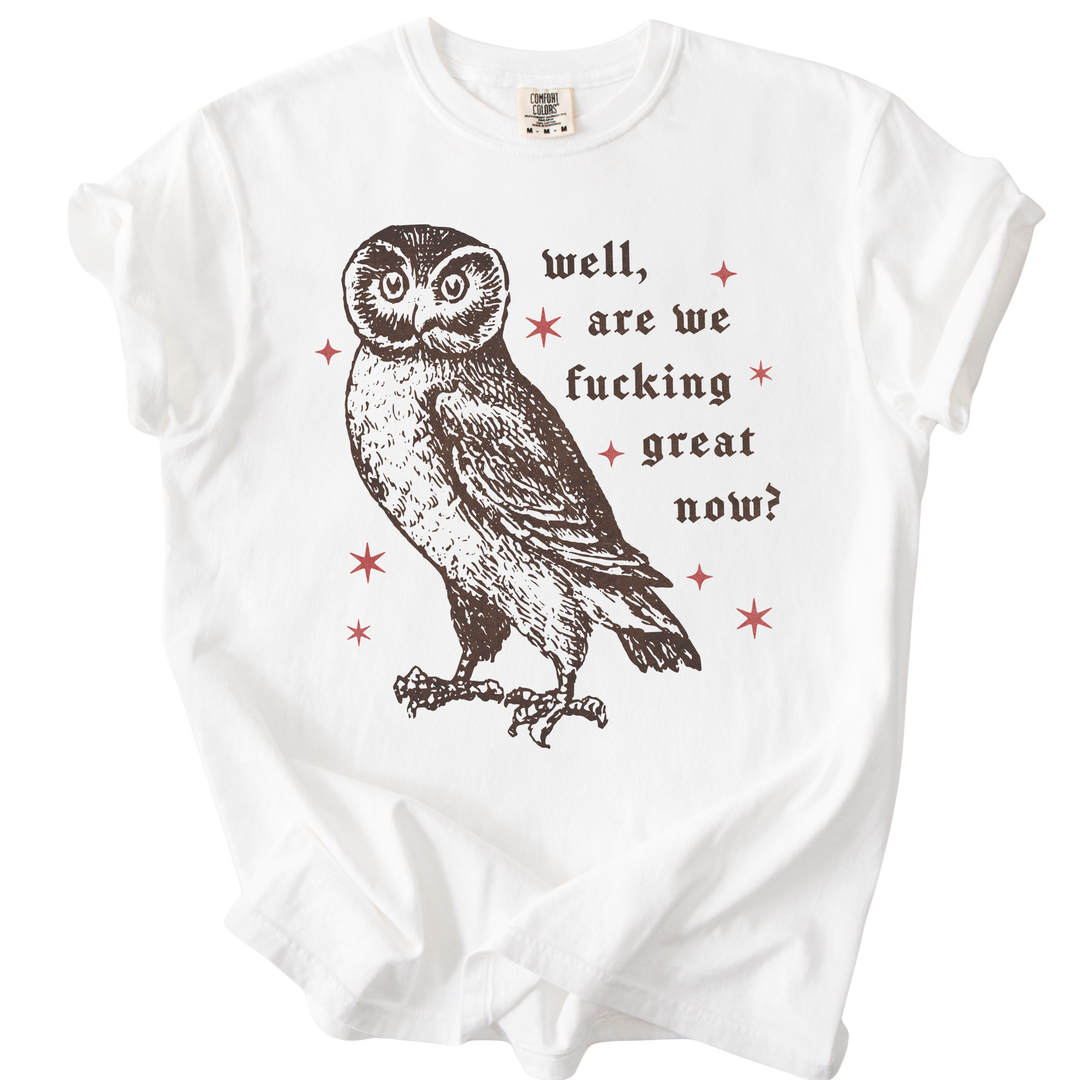 Well, Are We Fucking Great Now? Tee