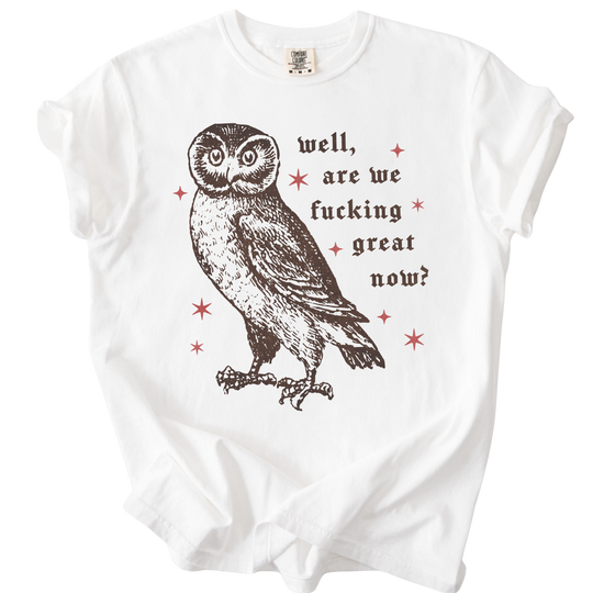 Well, Are We Fucking Great Now? Tee
