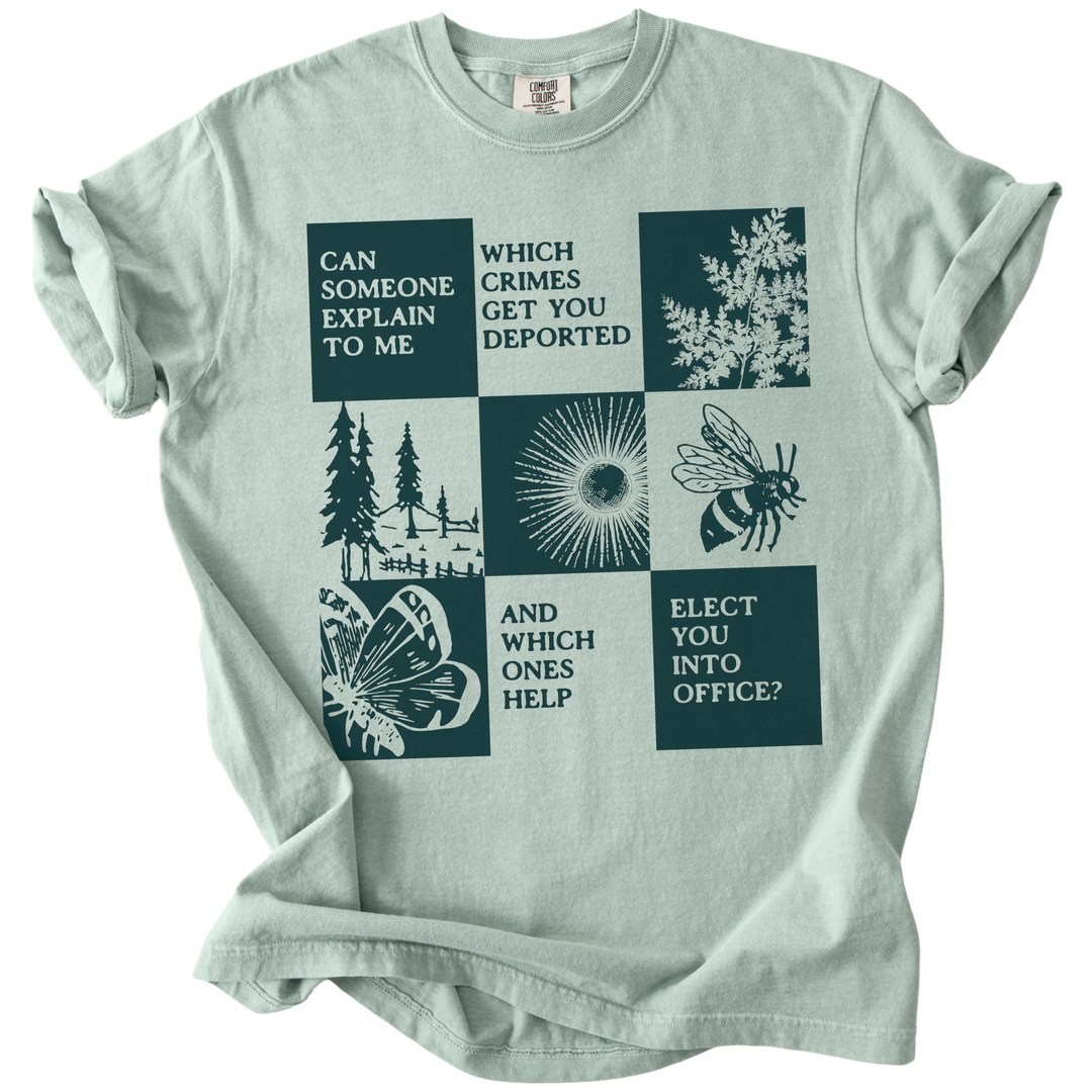 Which Crimes Get You Deported Vs Elected Tee