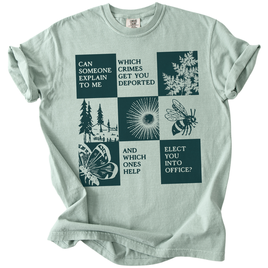 Which Crimes Get You Deported Vs Elected Tee