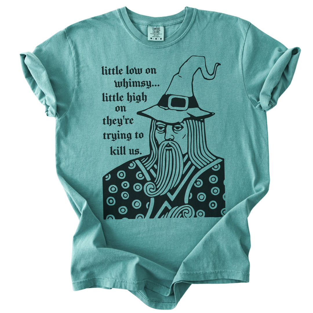 Little Low on Whimsy Wizard Tee